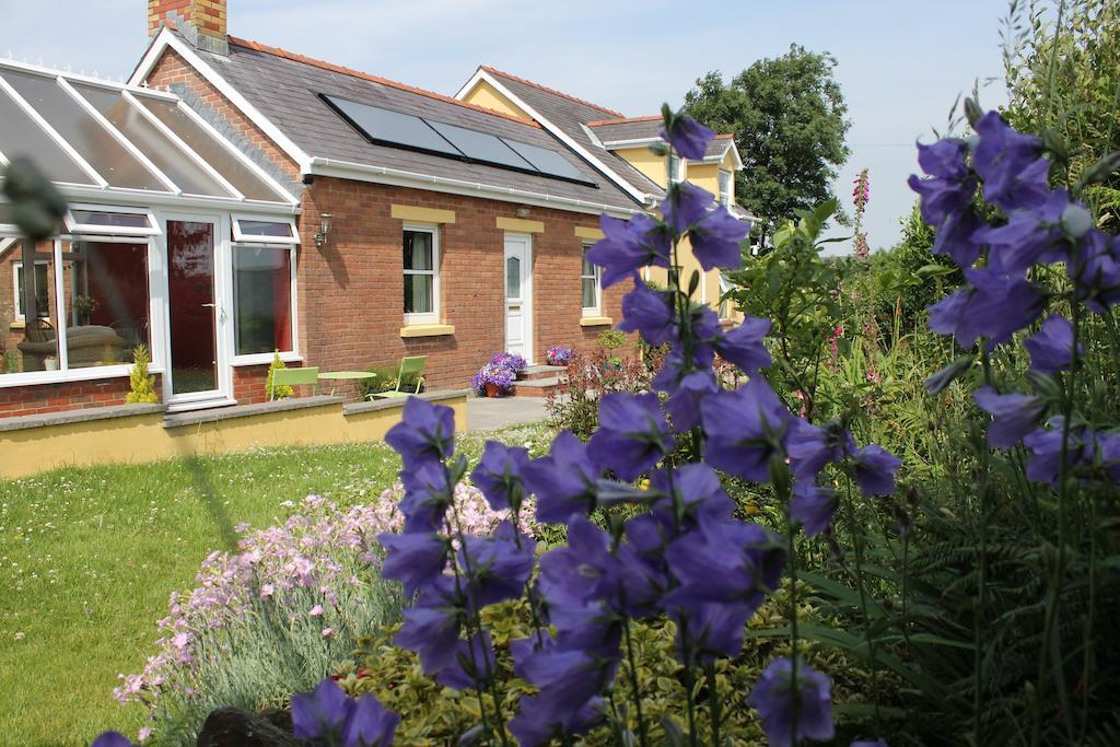 Bed and Breakfast Brynhaul Bed&Breakfast Maenclochog Exterior foto
